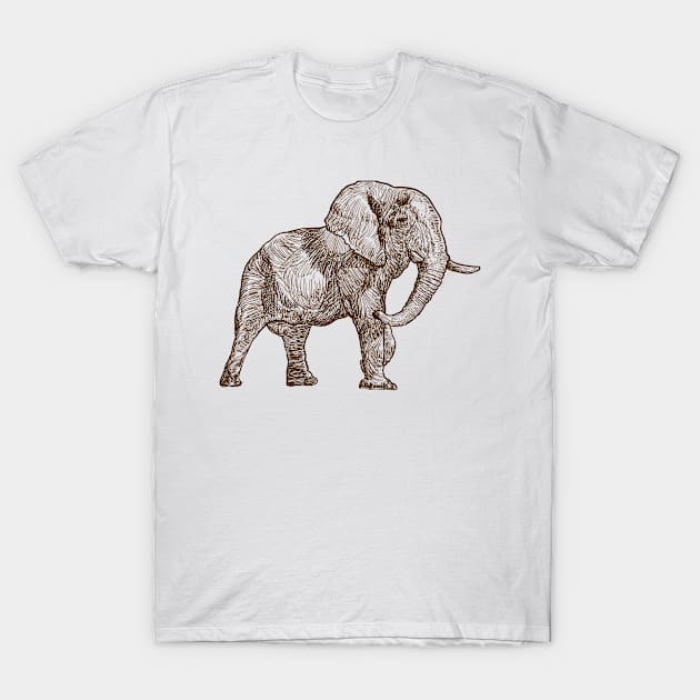 Elephant Sketch T-Shirt by Mulyadi Walet